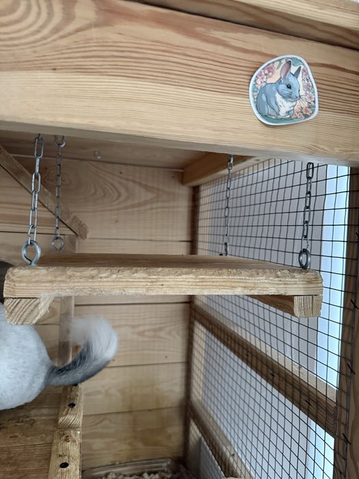 Woliera dla szynszyli - 210 cm - sosna