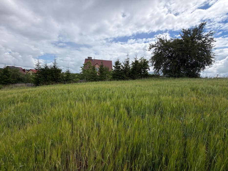 Dzialka budowlana pod Suwalkami