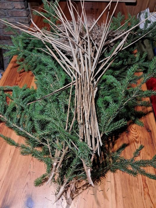 Gałęzie świerkowe na święta