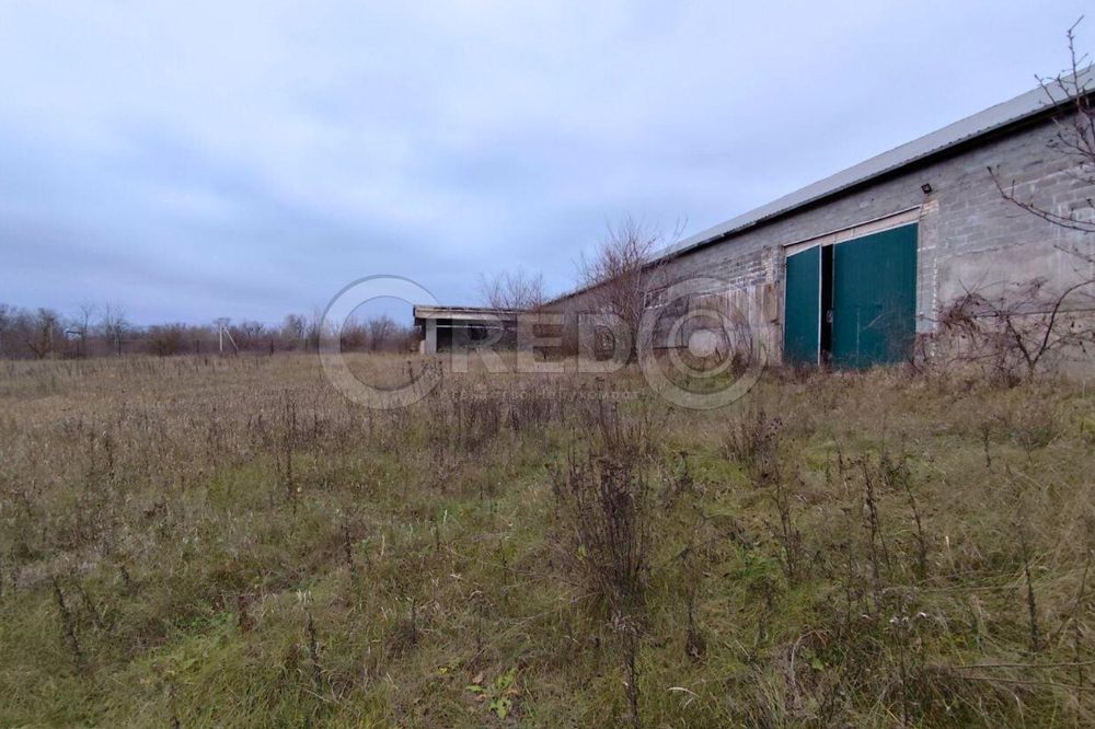 с.Надія (Радгоспне) Великий будинок + фермерське господарство