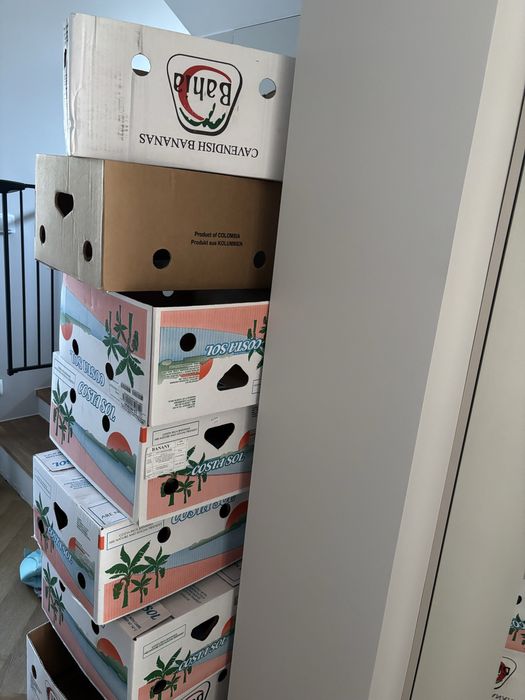 Oddam kartony do przeprowadzki Nowa Huta