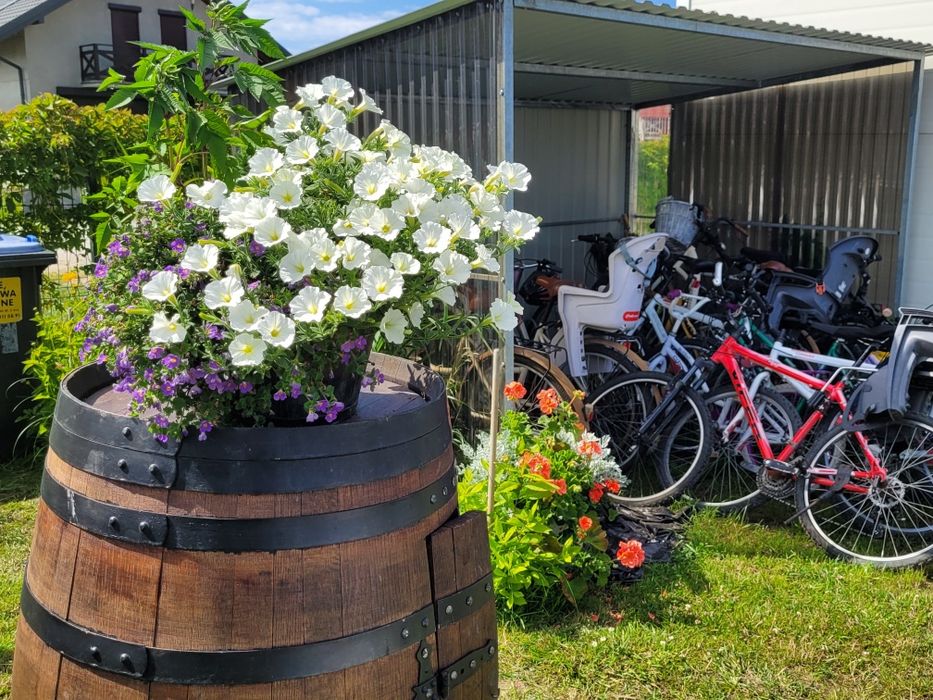 Domki nad morzem.Sarbinowo,Chłopy,basen,jacuz, wakacje 2026.