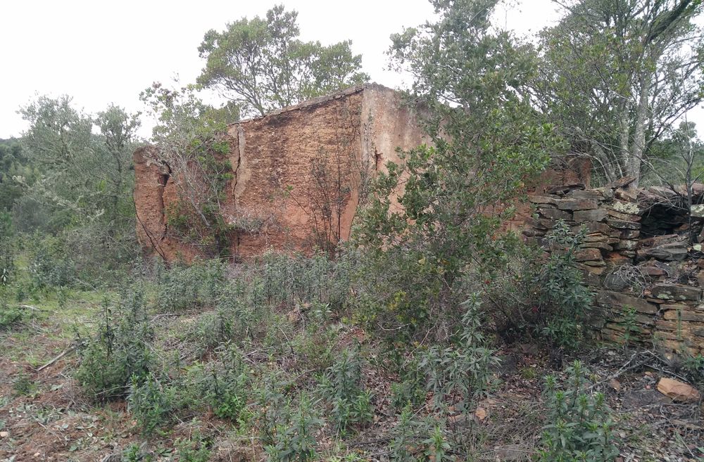 Terreno com Ruína Legalizada – 11,85 ha – Aljezur