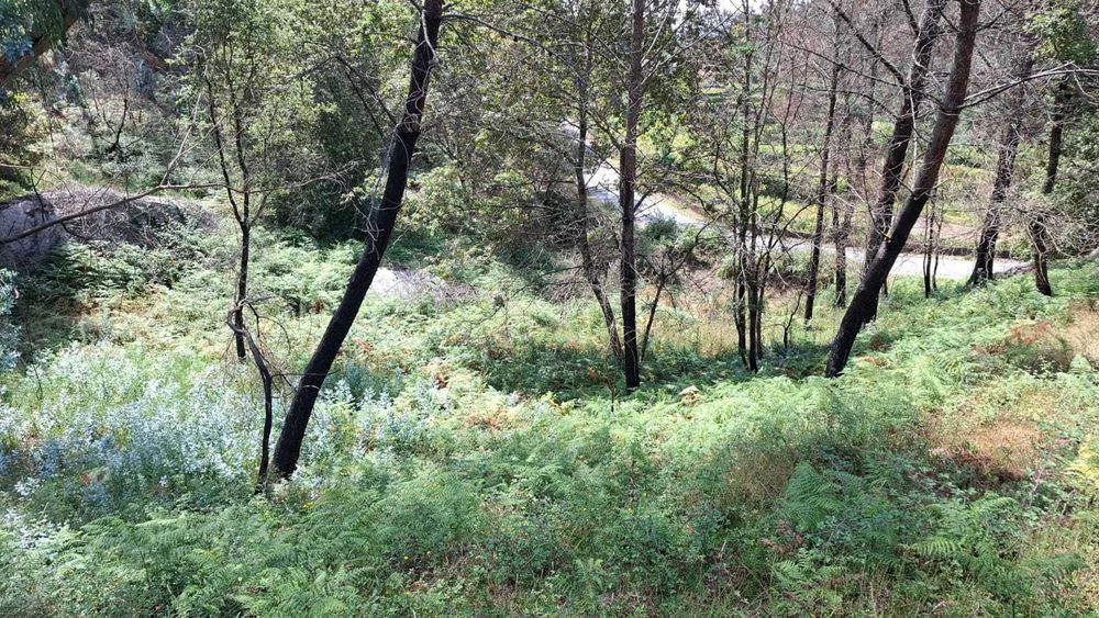 Terreno na Póvoa de Lanhoso