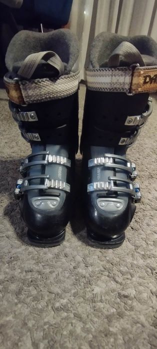Buty narciarskie Dalbello