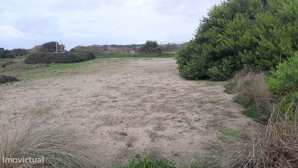Terreno agrícola em Belinho