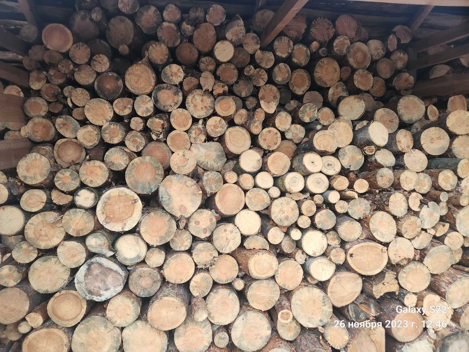 Продам дрова різного виду