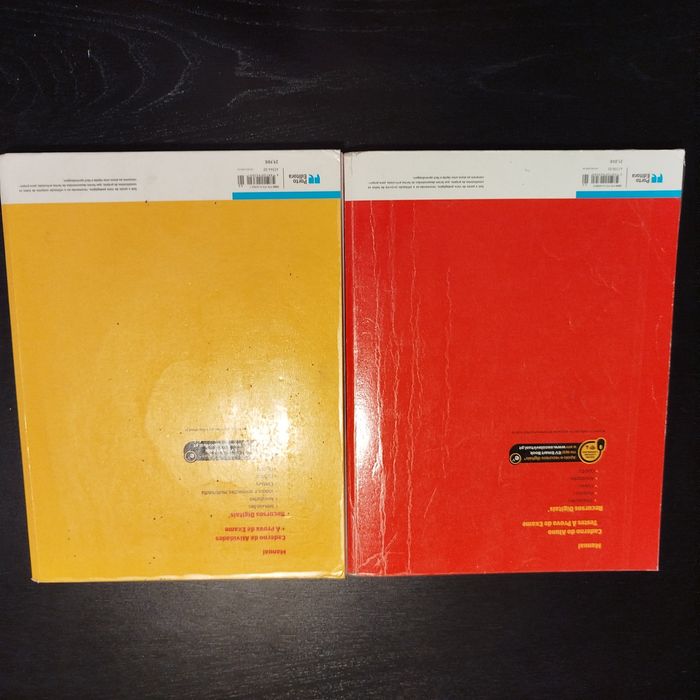 Manuais de Física e química 11 ano
