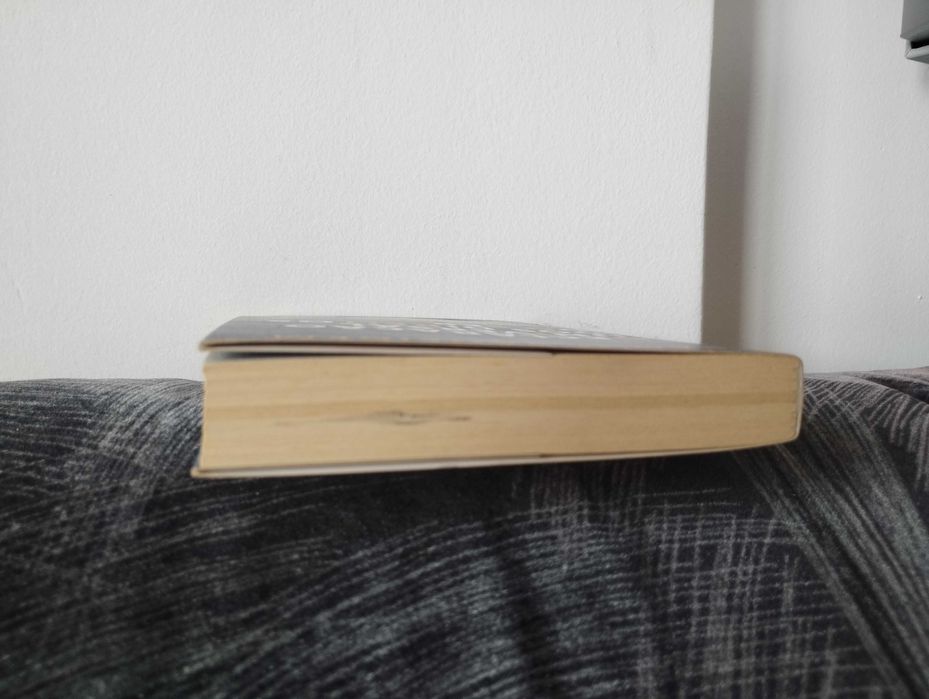 Declaração Universal dos Direitos do Ser Humano de Raoul Vaneigem