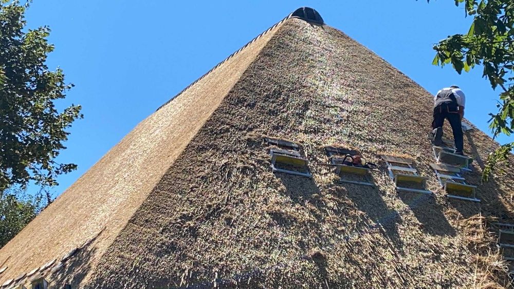 strzecha trzcina dachy trzcinowe