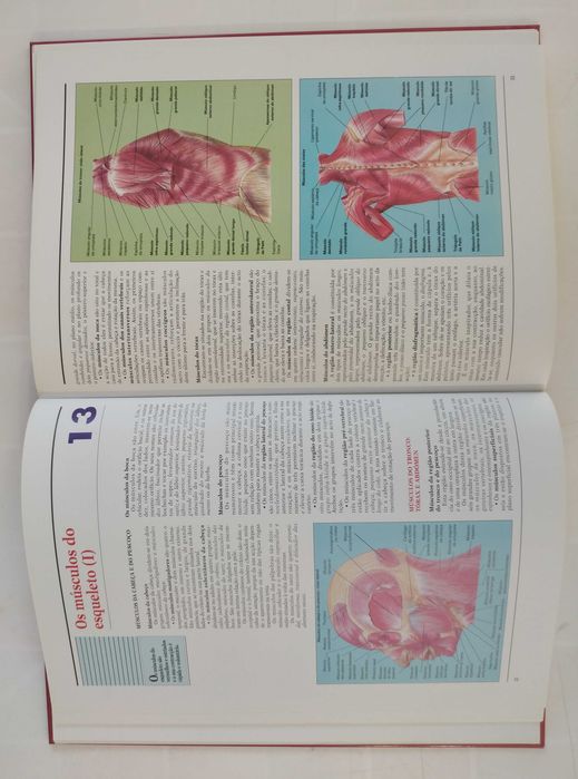 Atlas de Anatomia Humana - livro e cd novos 15€ só o livro 10€
