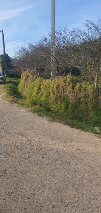 Armazém com terreno