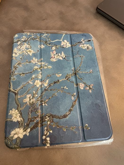 Etui iPad Air 11