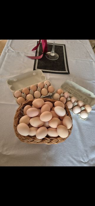 Jajka wiejskie z wysyłką. 30szt- 45zł