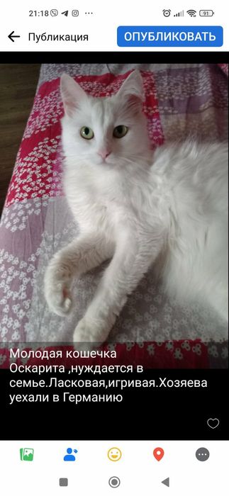 Отдам в хорошие руки