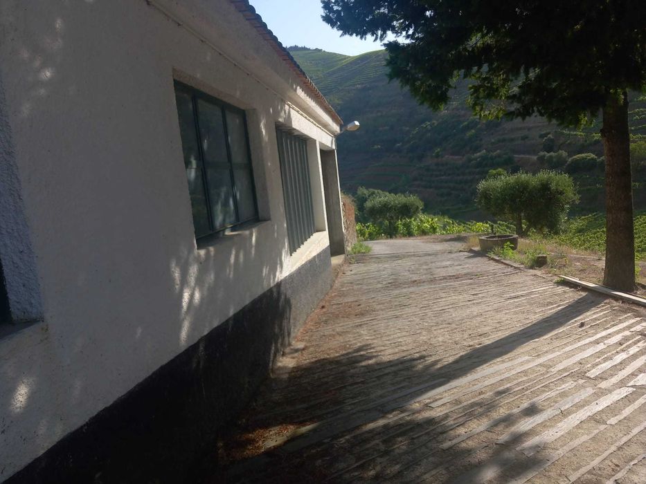 Vende-se Quinta no Douro