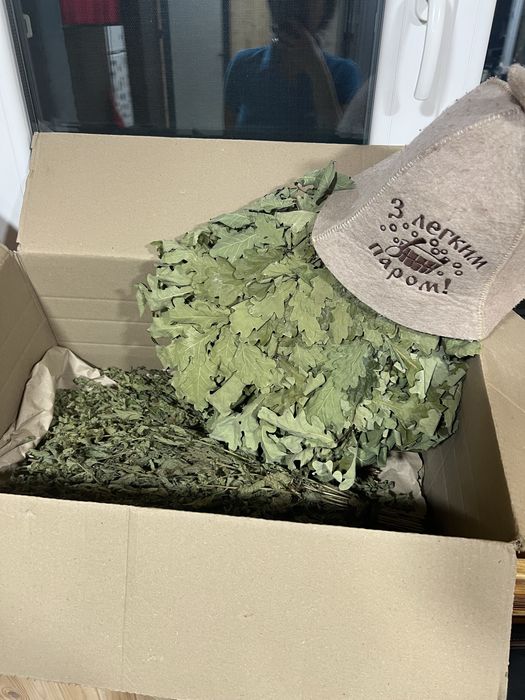 Дом, баня на дровах и джакузи с подогревом