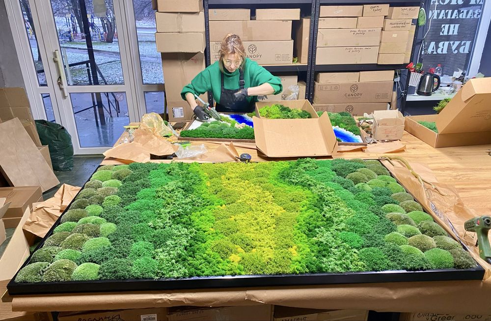 Фитопано з Моху. Панелі з Моху