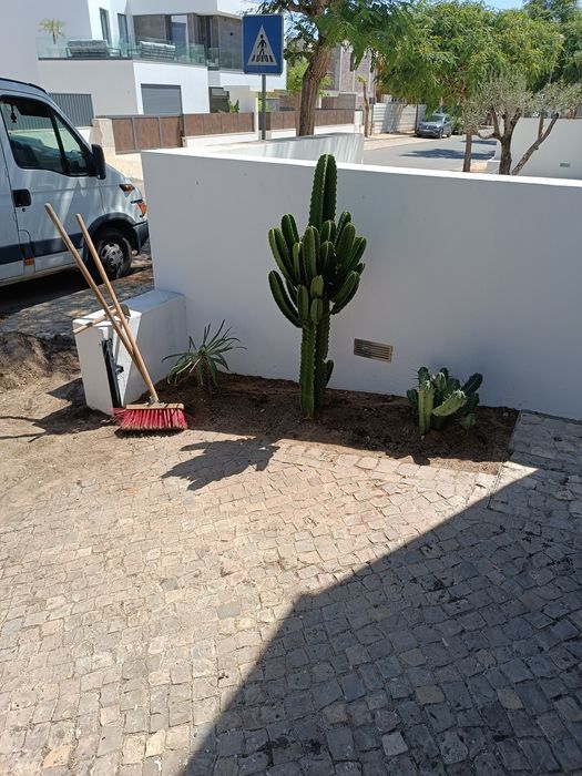 Serviços Jardinagem&Paisagismo