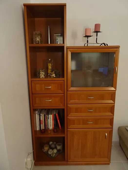 Living Room and TV Cabinet