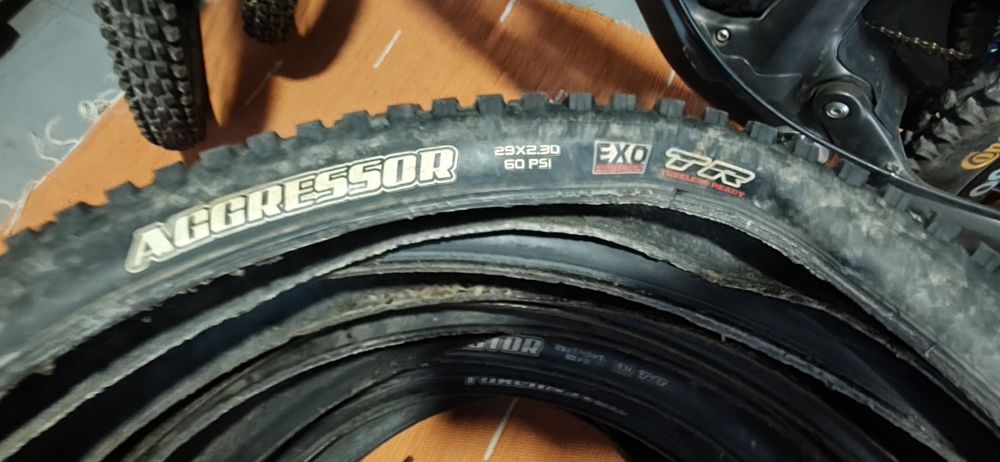 Lote de 13 Pneus BTT 29” | Maxxis, Continental e WTB | Tubeless Ready