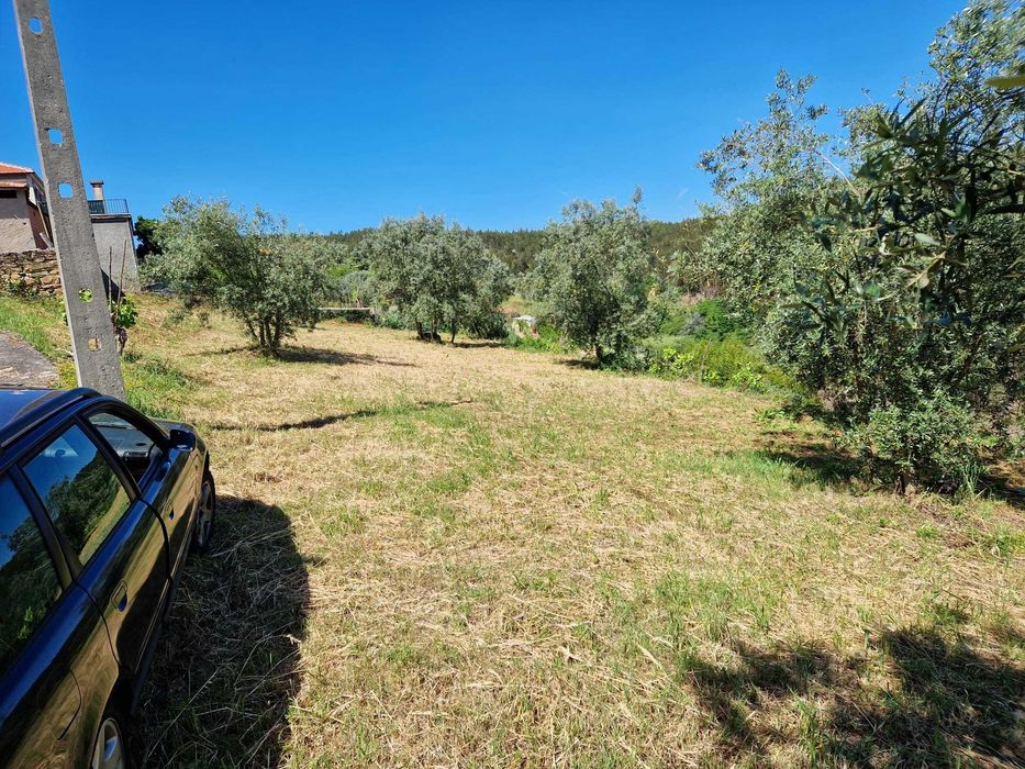 Terreno 1.000m2 na Barragem da Aguieira a 50 m da água. Novo preço!!!