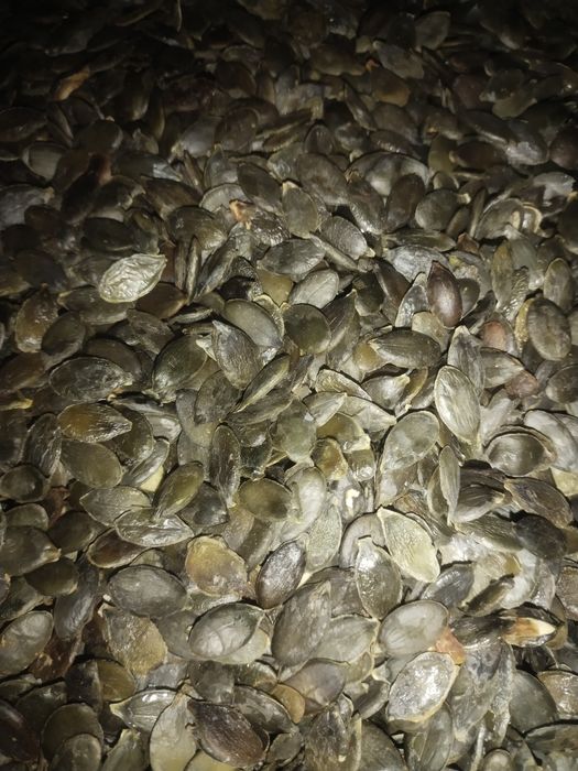 Зернята Голонасінних гарбузів