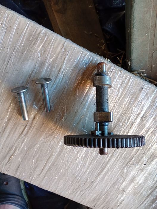 Wałek rozrządu i popychacze do Briggs Stratton