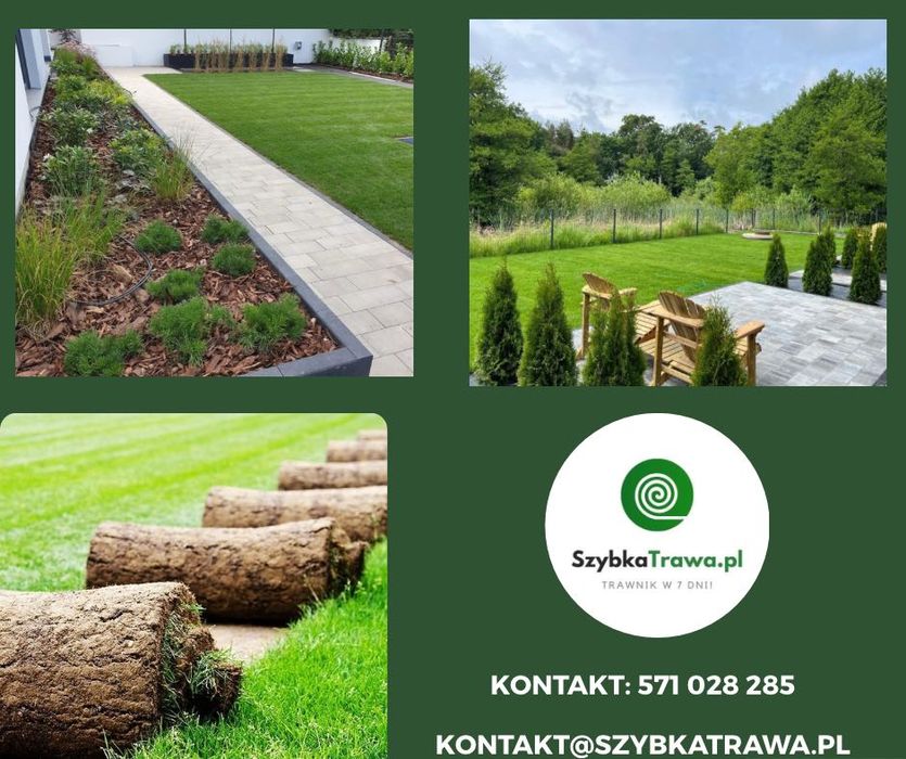 Trawa z rolki premium