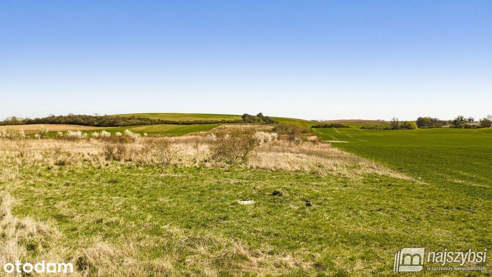 Niesułów-Działka Rolna 6,39 Ha Klasa III