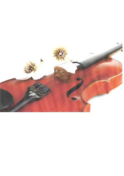 Skrzypce na ślub,pogrzeb lub inne uroczystości