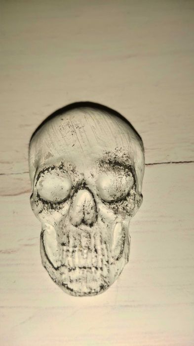 Dekoracje do terrarium (czaszki, tła)