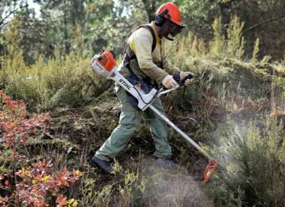 Limpeza dematizacao terreno