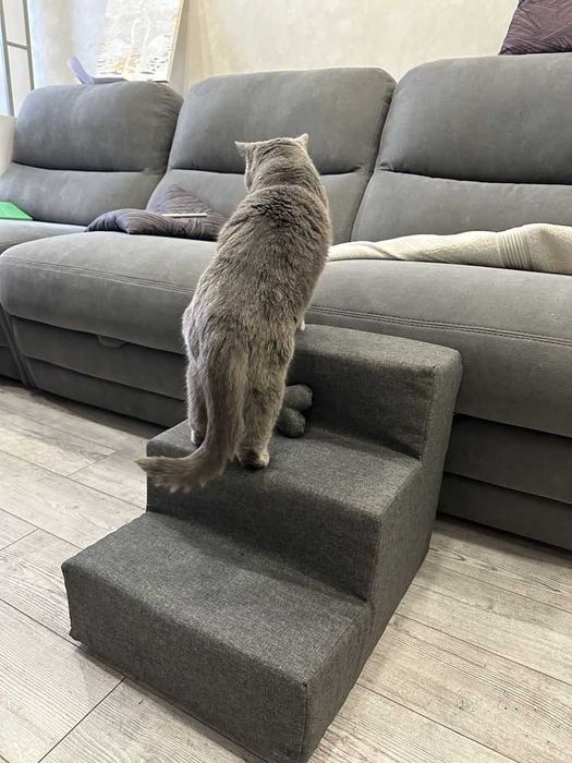 Сходинки приліжкові для тварин