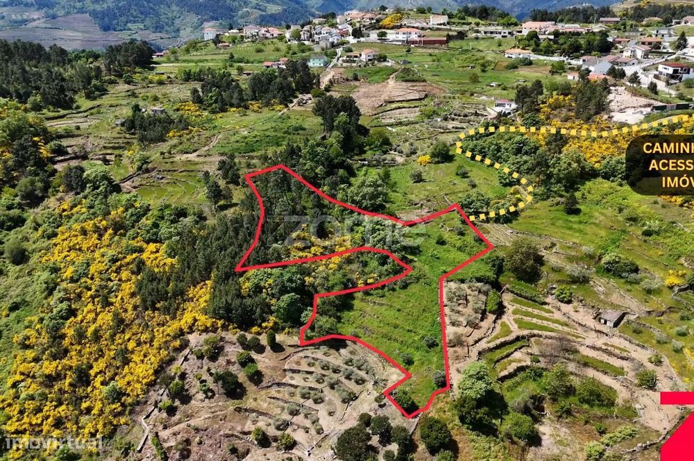 Terreno de 4437m2 com ruína, Santa Marta de Penaguião, Douro