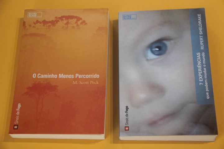 Livros "Simplifique a sua vida" + "A escolha é tua" etc
