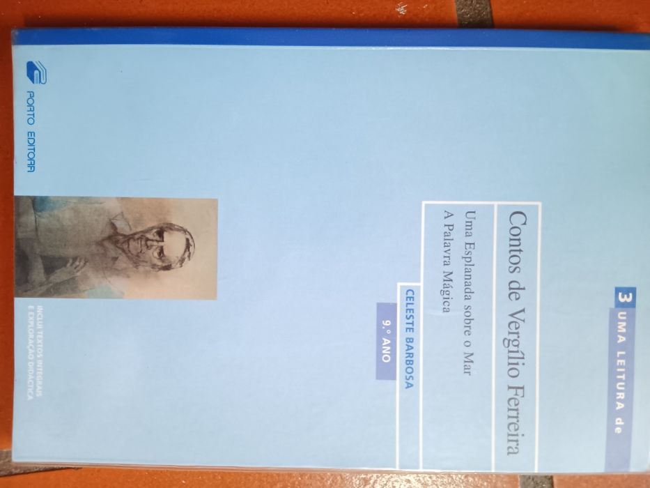 Uma leitura de Contos de vergilio ferreira