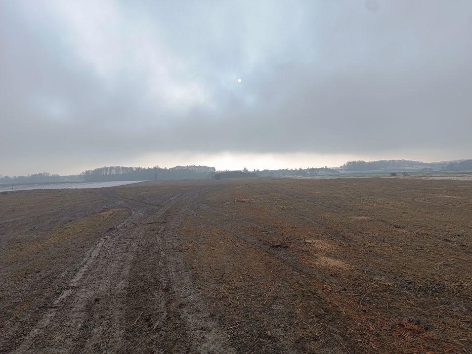 Mulczer leśny wgłębny wycinka drzew przywracanie gruntów rolnych