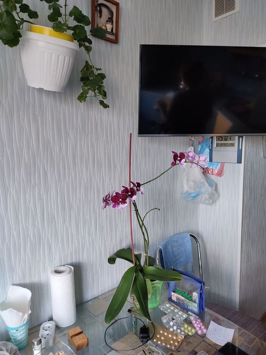 Здам кімнату в 2 х кімнатній квартирі.