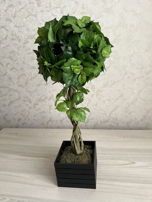 Дерево декоративне, топіарій