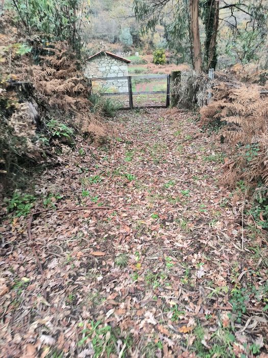 Quinta Rústica à Venda - 1 hectare de terreno. 

Descrição:  
Vende