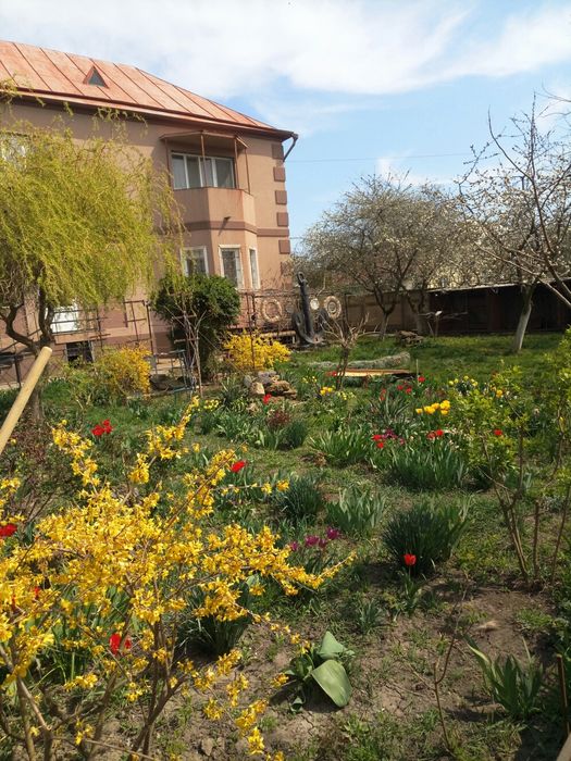 Продам дім на 40 сотках Санжійка