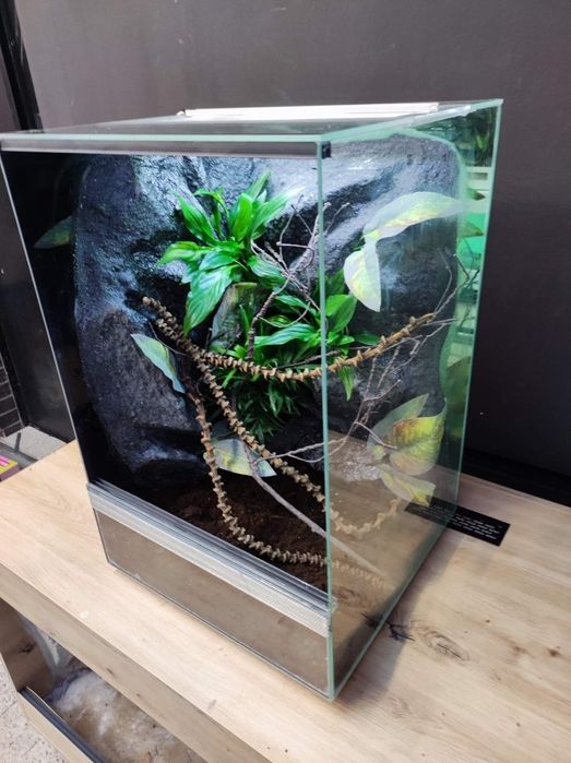 Terrarium szklane gekon żaba modliszka KOŚCIAN