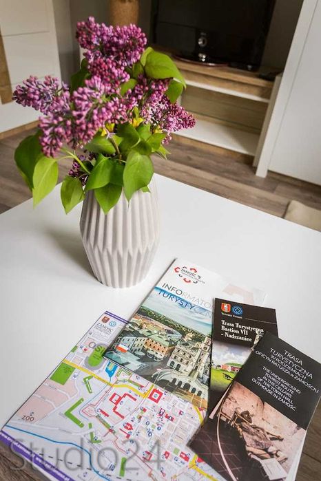 Apartament Studio 24  do wynajęcia