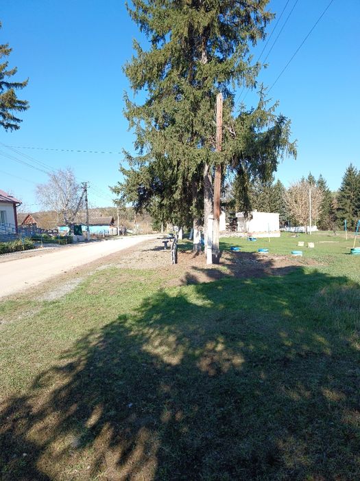 Продам земельну ділянку в с. Лисогірка