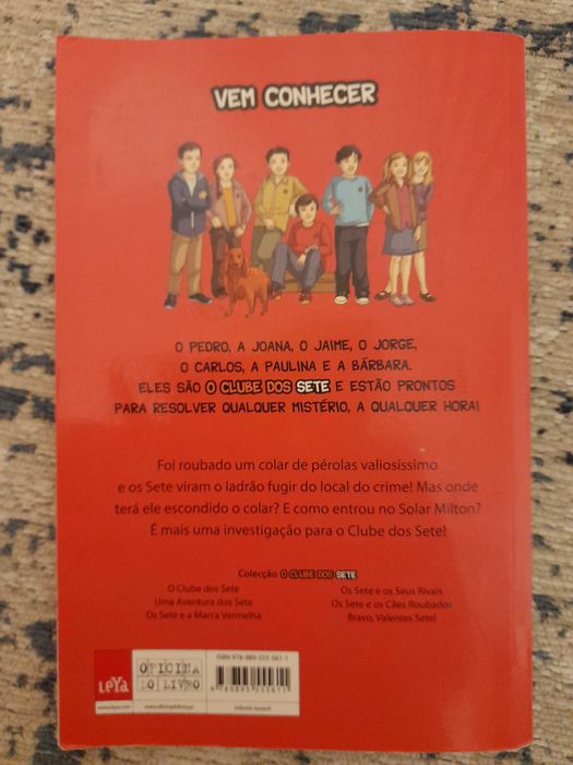 Uma Aventura dos Sete, Enid Blyton