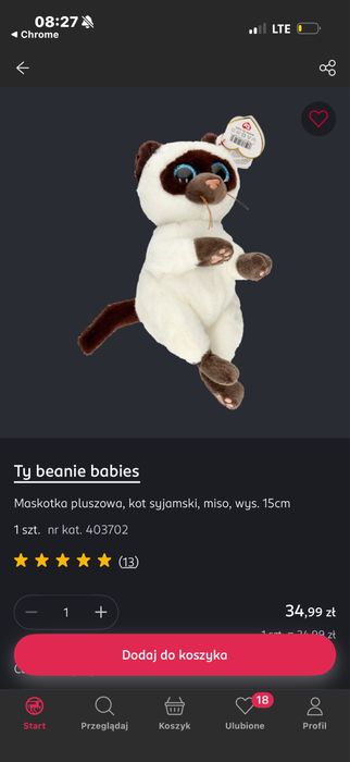 Kotek kotek kotek