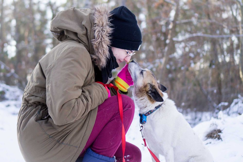 10 letni Remik  - adoptuj go!