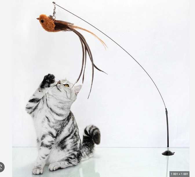 Интерактивная игрушки для кошек . Птичка на спице .