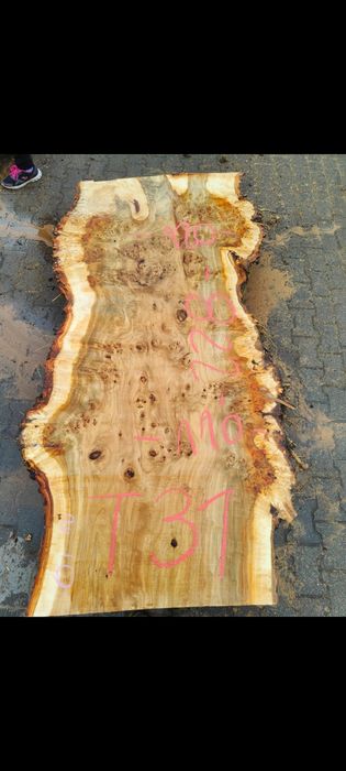 Topola z czeczota materiał sezonowane